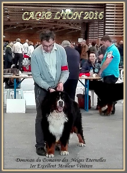 Donovan du domaine des neiges eternelles